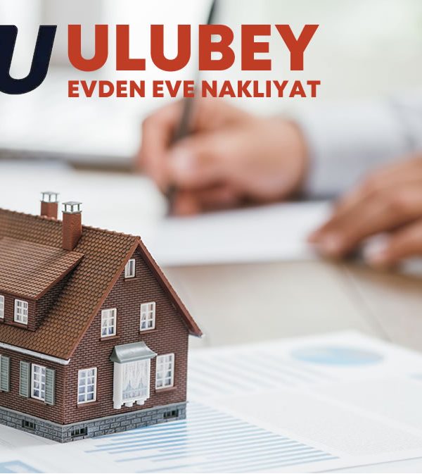 Kadiköy Evden Eve Nakliyat